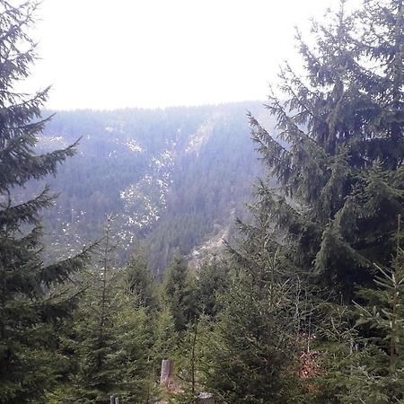Pobyt v Krkonoších v blízkosti Pece pod Sněžkou Horní Maršov Exteriér fotografie