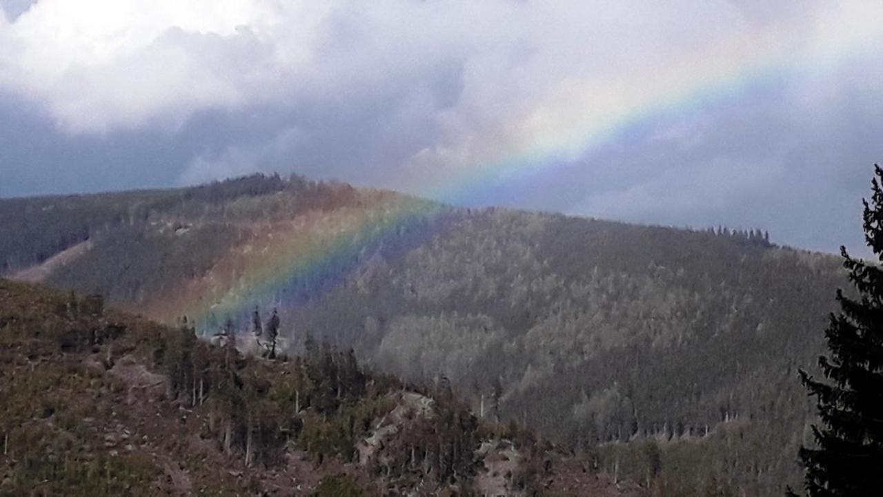Pobyt v Krkonoších v blízkosti Pece pod Sněžkou Horní Maršov Exteriér fotografie